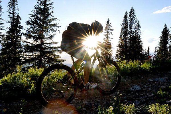 Biker Sunset Biker Sunset