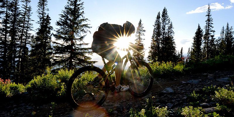 Biker Sunset Biker Sunset