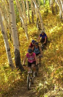 Mt Bike Fall