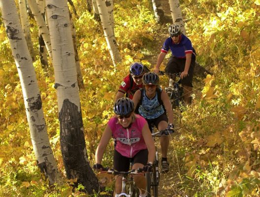 Mt Bike Fall