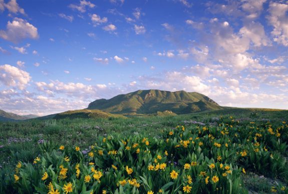 Elk Mtn The Sleeping Giant Mules Ears 3 Elk Mtn The Sleeping Giant Mules Ears 3