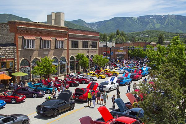 Mustang round up Mustang round up