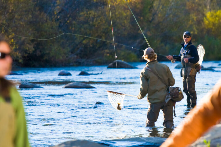 Steamboat fly fisher Steamboat fly fisher